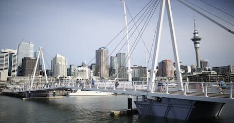 Office Auckland